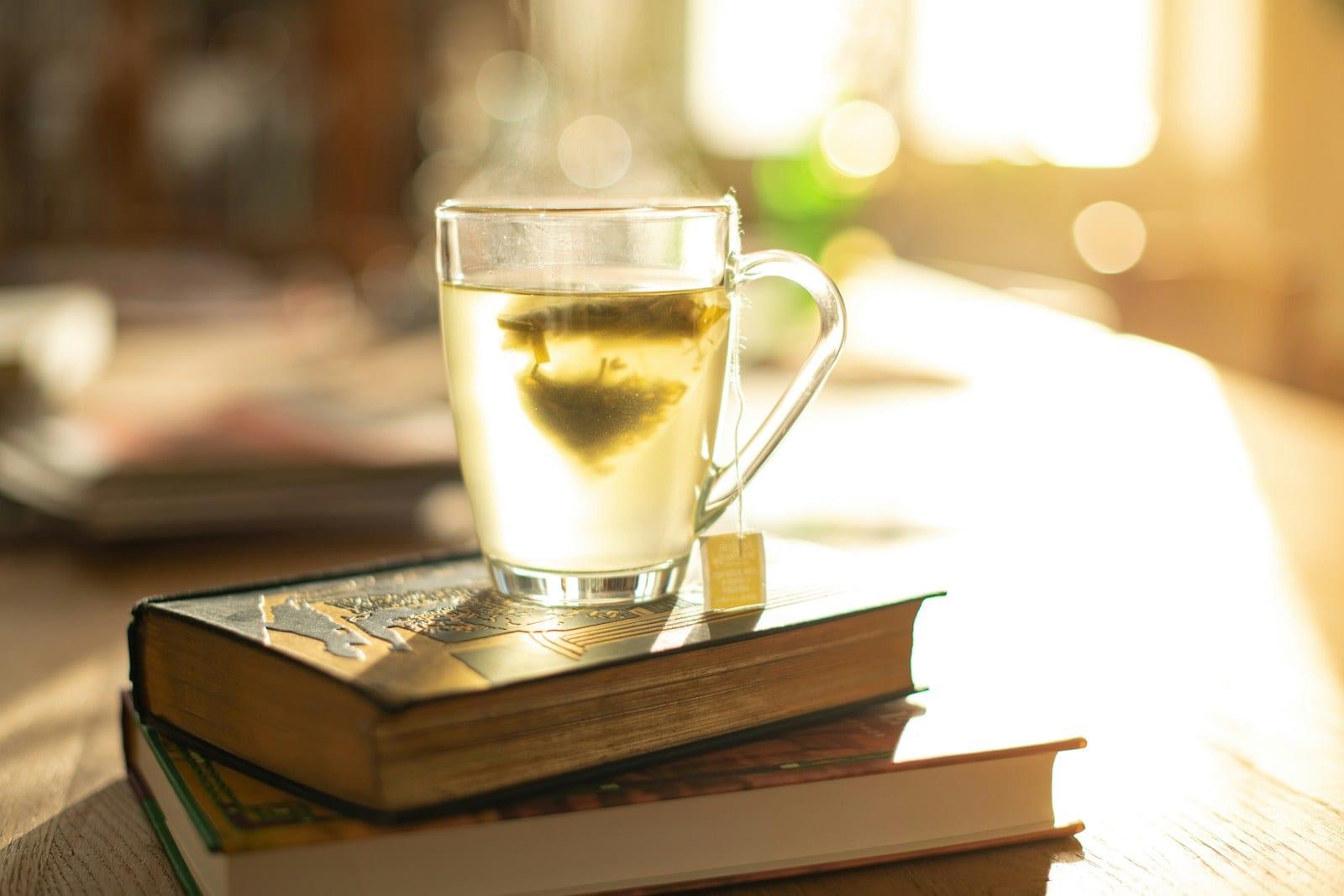 A warm mug of tea resting on a book in morning light